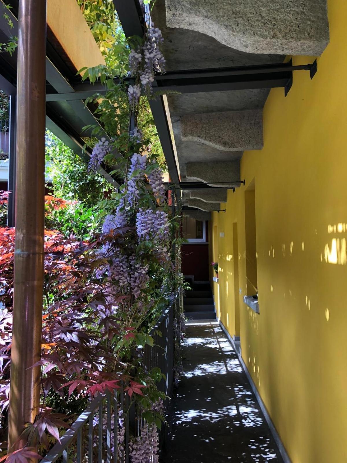 Residence Casa Coppa Appartamento Aster オメーニャ エクステリア 写真