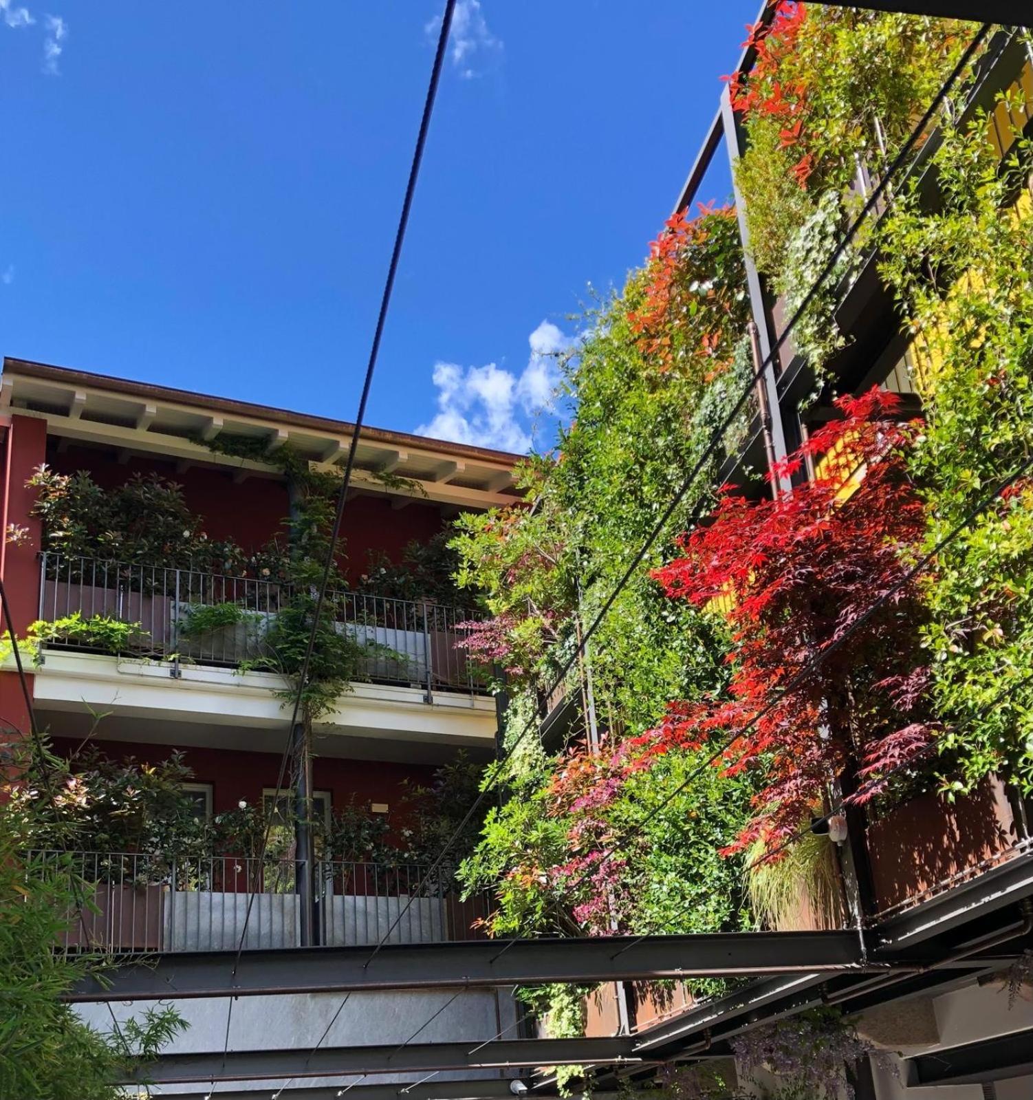 Residence Casa Coppa Appartamento Aster オメーニャ エクステリア 写真